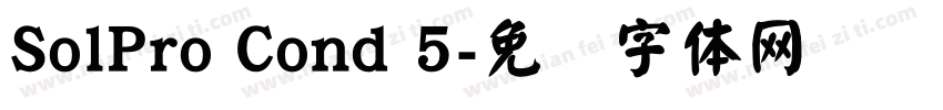 SolPro Cond 5字体转换